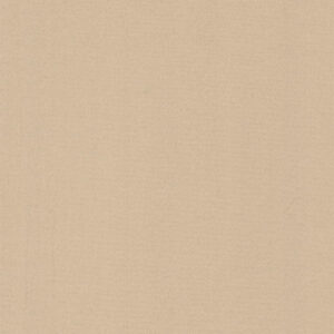 Dim Out Olympus 4195010011