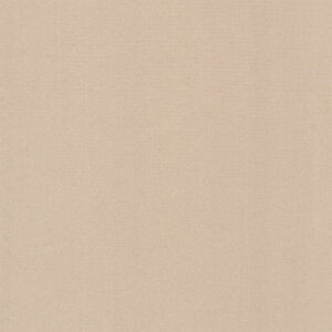 Dim Out Olympus 4195010013