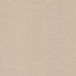 Dim Out Olympus 4195010014