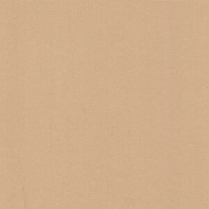 Dim Out Olympus 4195010018