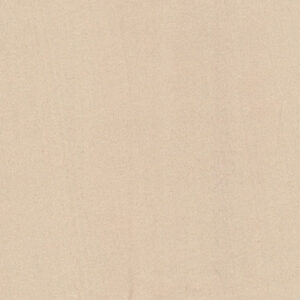 Dim Out Olympus 4195010019