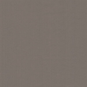 Dim Out Olympus 4195010023