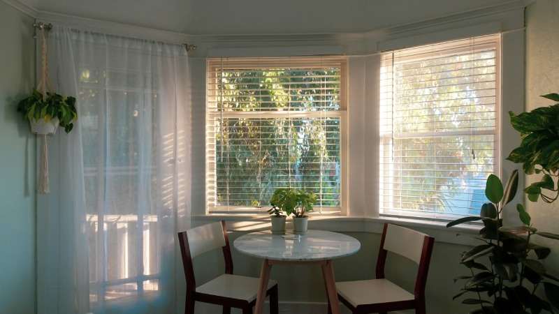 Modern roller blinds in a Dubai office for sleek design.